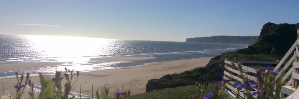 Tyler Jack Smith banner