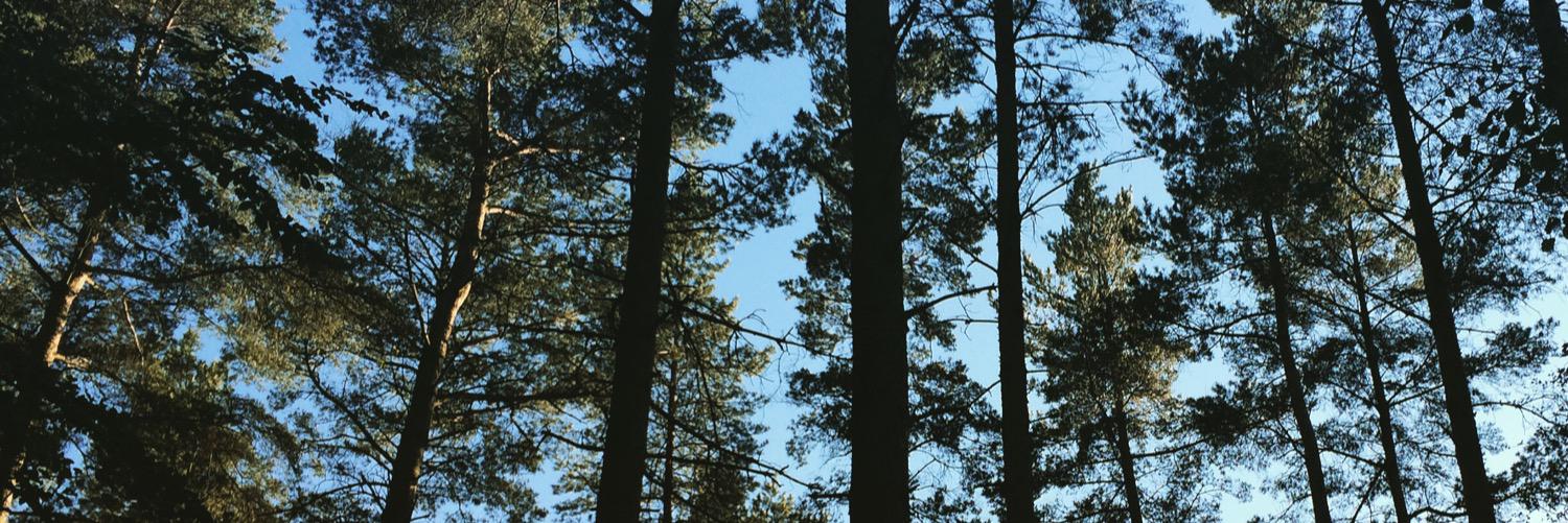 EmmaLowson_'s profile banner image