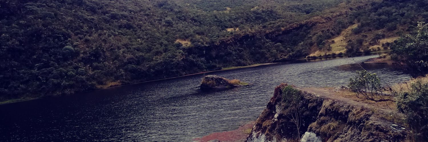 rasdavidhaile's profile banner image