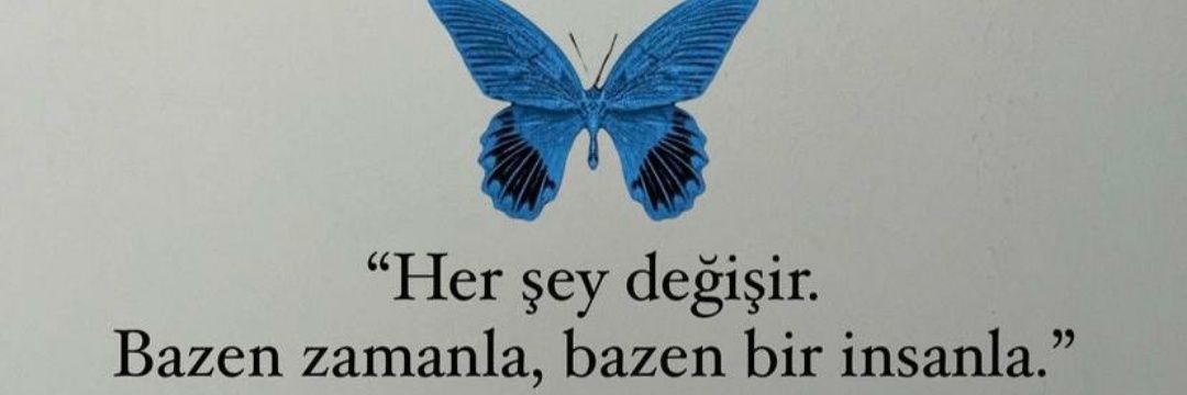 ozlemdgl's profile banner image