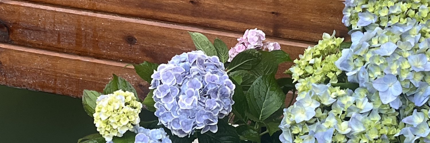 hybadperson's profile banner image