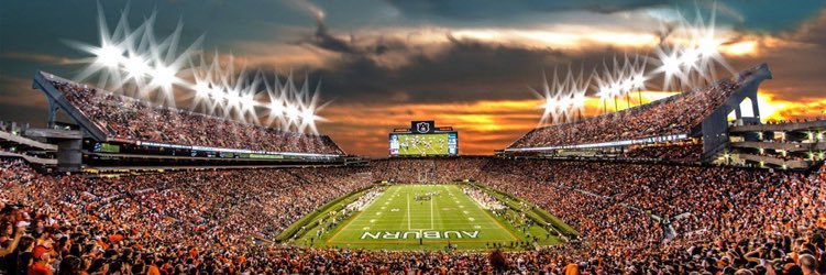 Dana Hall McCain banner