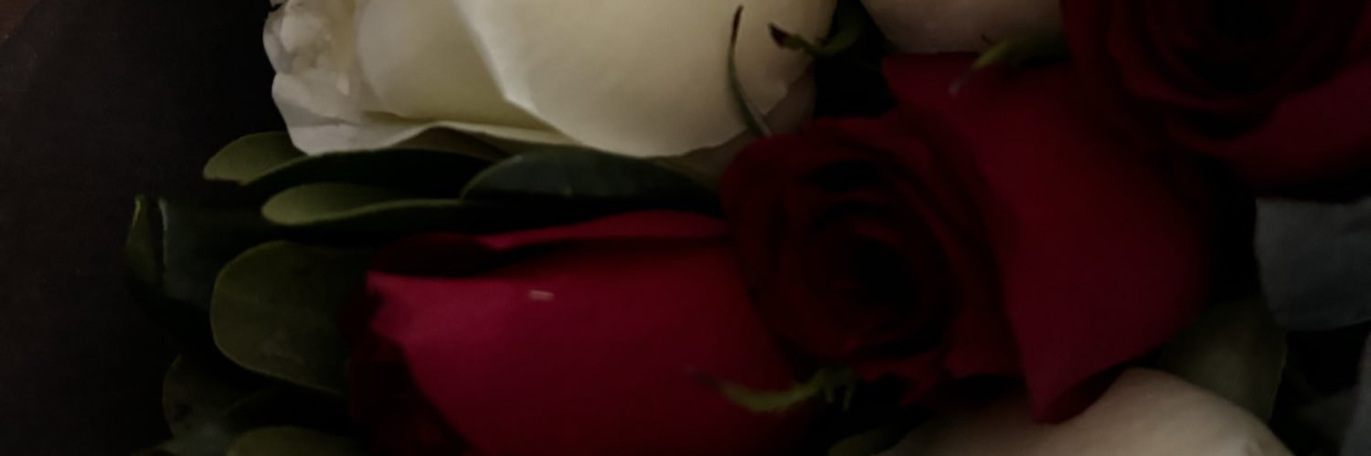 LeKarinox's profile banner image