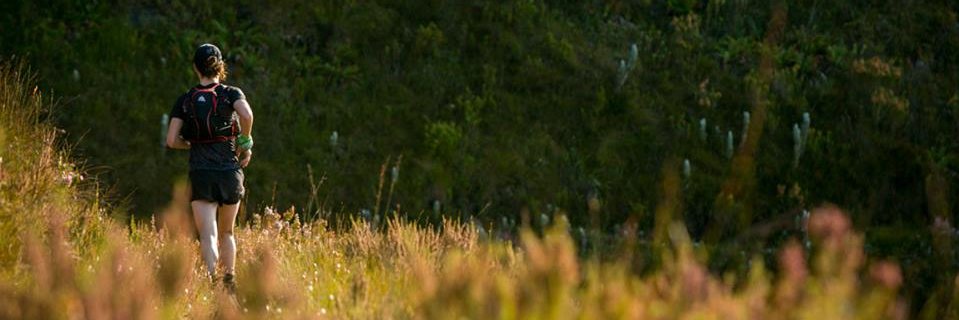 Drew_411's profile banner image