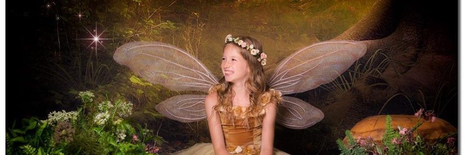 imcarolclapp's profile banner image