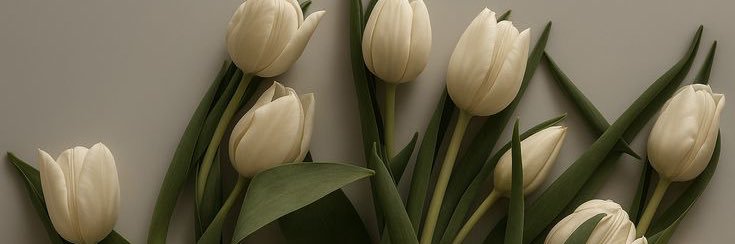 theylovesofi's profile banner image