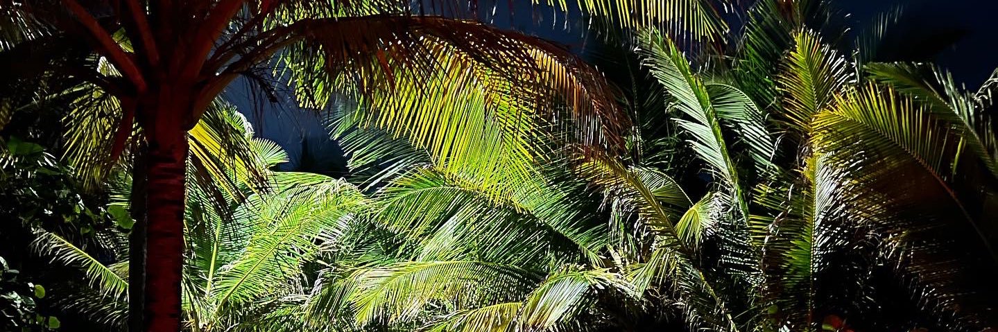 _itsSimoneee's profile banner image