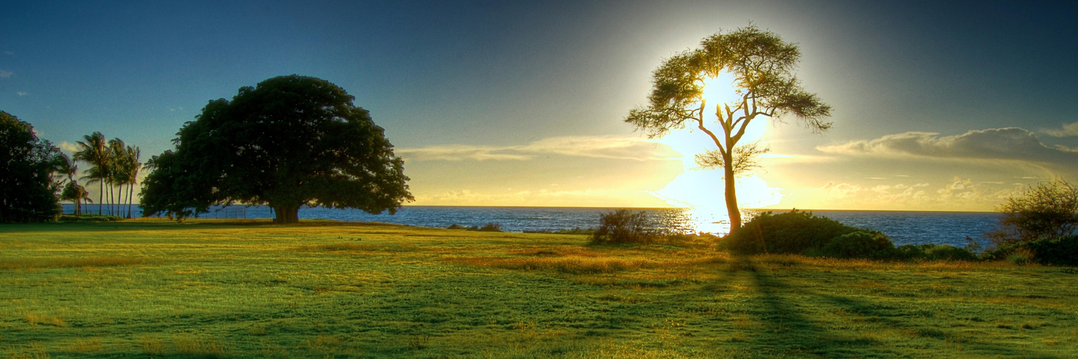 Amigos_On's profile banner image