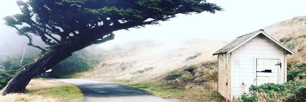 MikevanWijhe's profile banner image