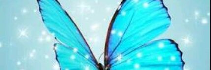 AlissaPester's profile banner image