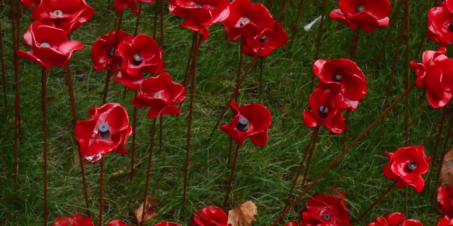 suebennett126's profile banner image