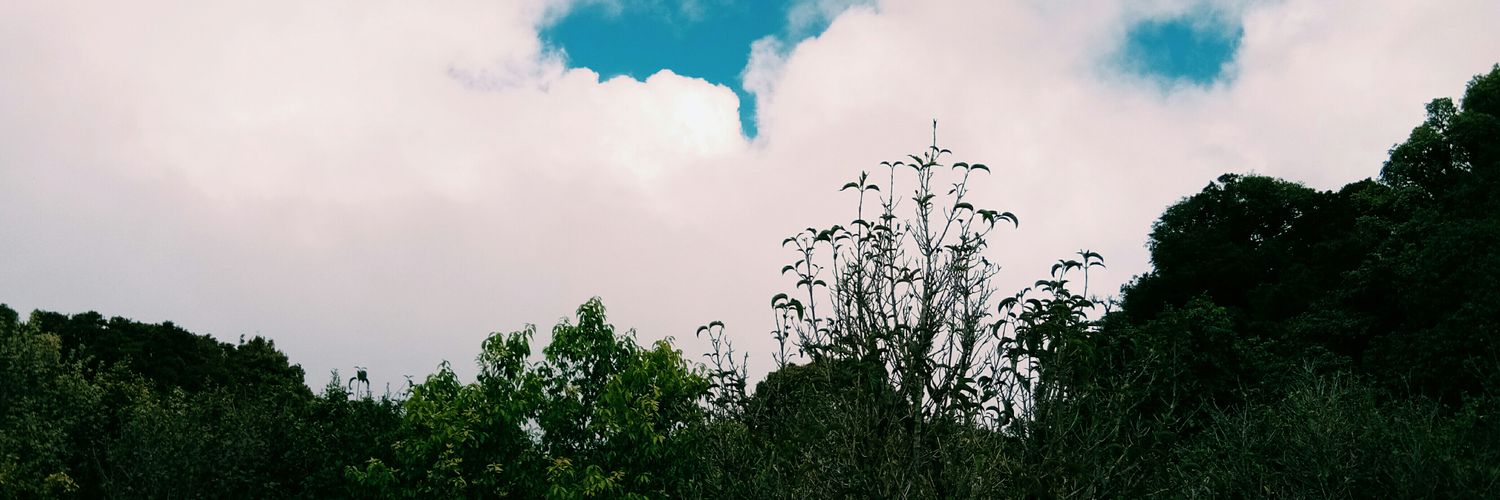 Hahna55's profile banner image