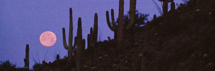 colefieri's profile banner image