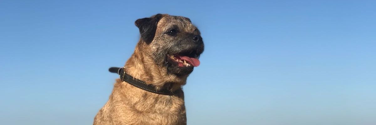 stuart barnes banner