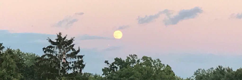 Marguerite Duane banner