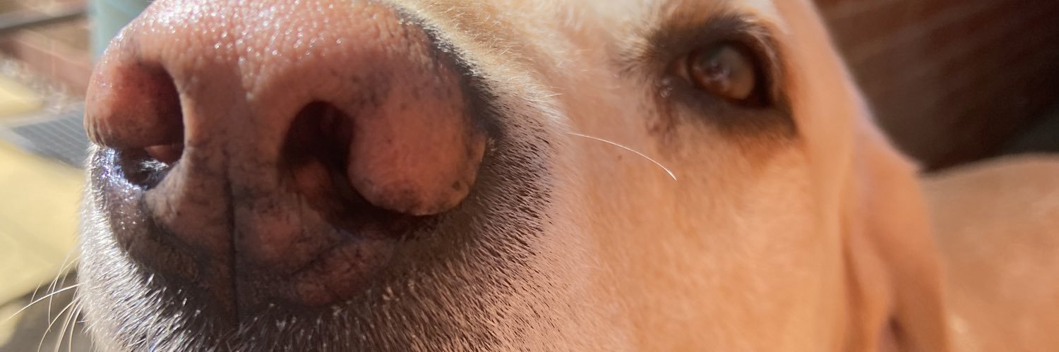 Jasper n Malcolm💙 banner