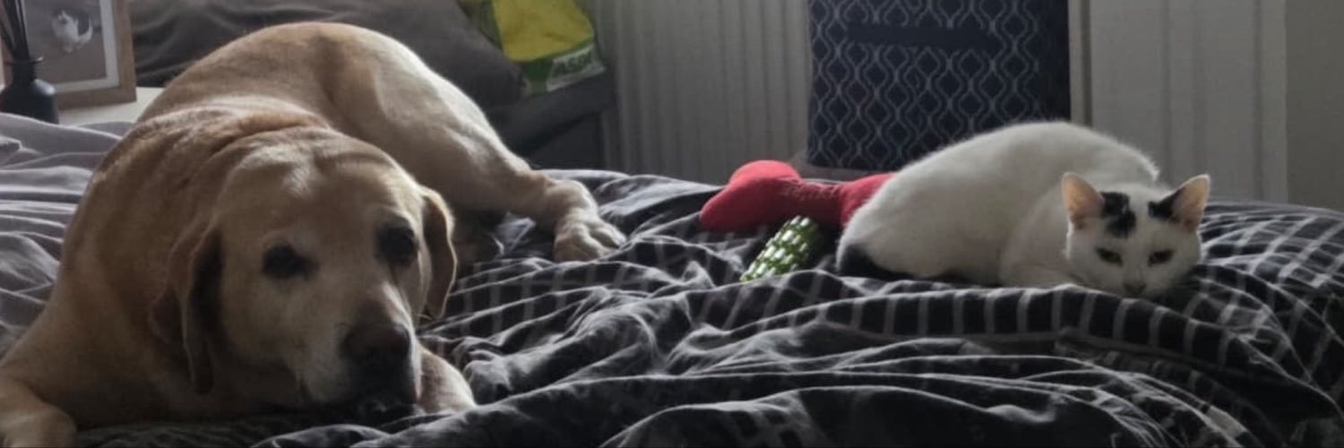 wuftyruffruff's profile banner image