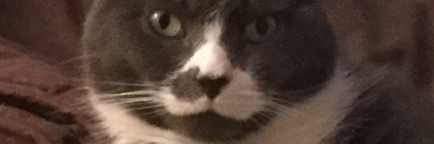 plstev2's profile banner image