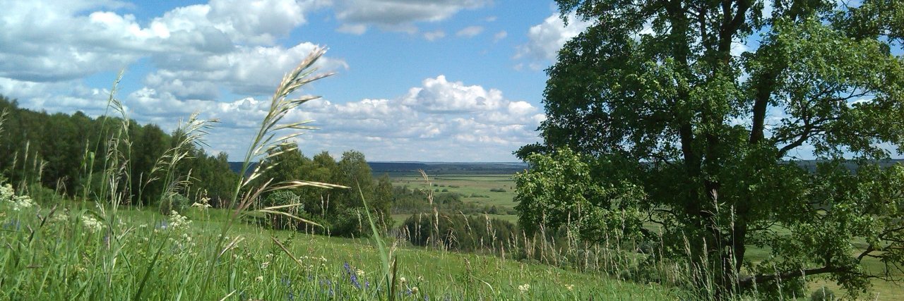VGYashkin's profile banner image