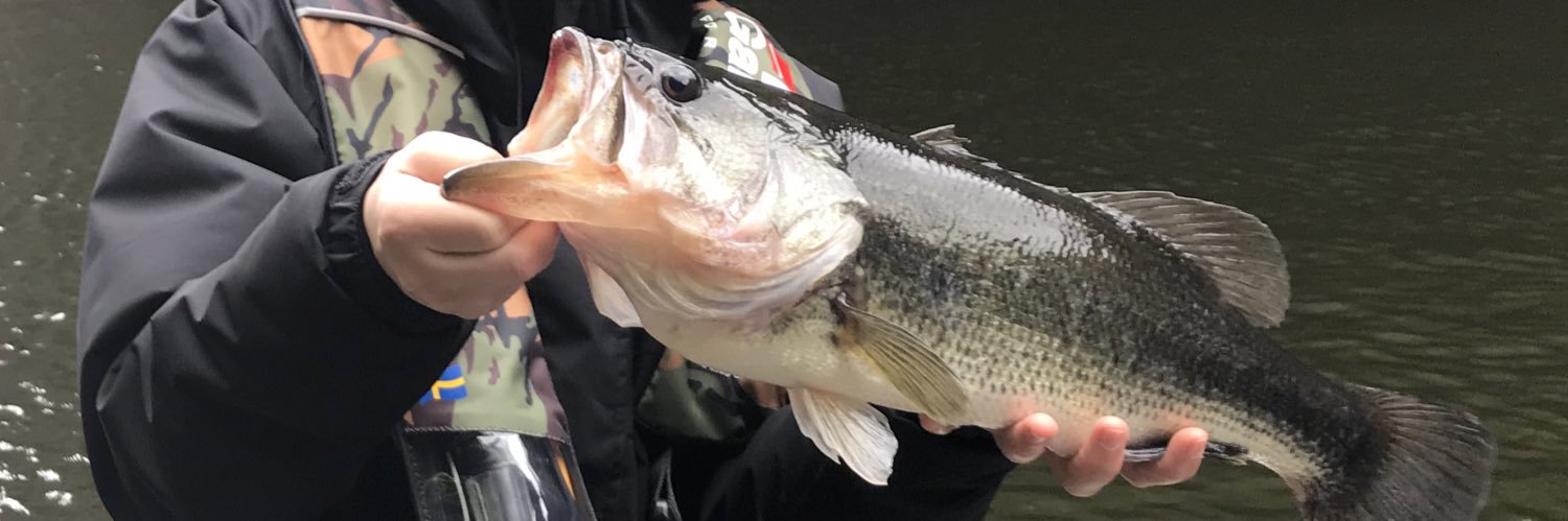 basstsurifes's profile banner image