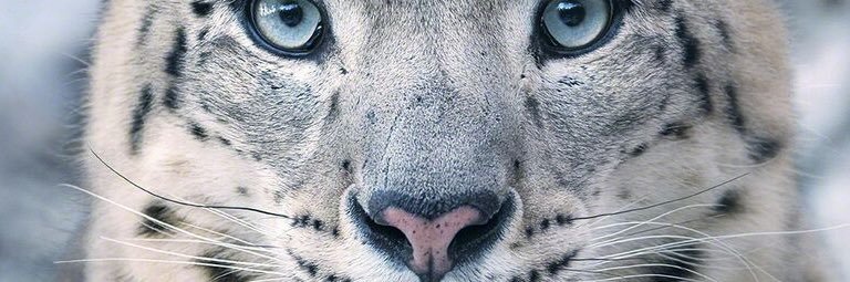 sameersidique's profile banner image