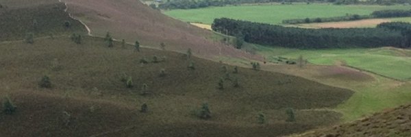 j_w_chapman Profile Banner