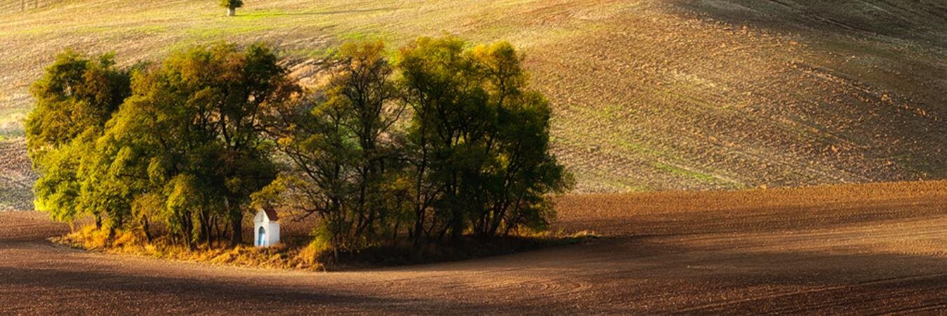 bekir07's profile banner image