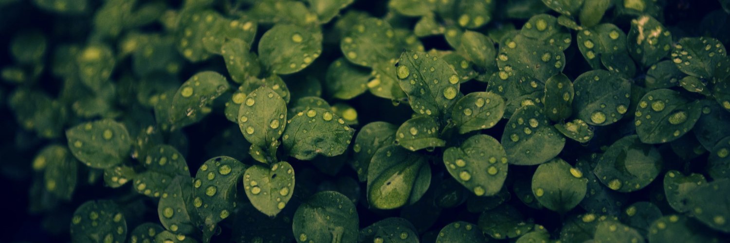 Bell_NGS's profile banner image