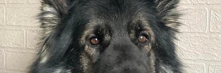 NezzaStw's profile banner image