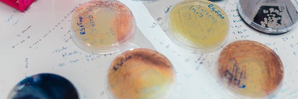 UCLBiochemEng1 Profile Banner