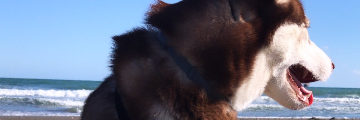 andi_mandii's profile banner image