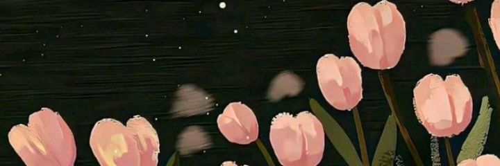 cixsick's profile banner image