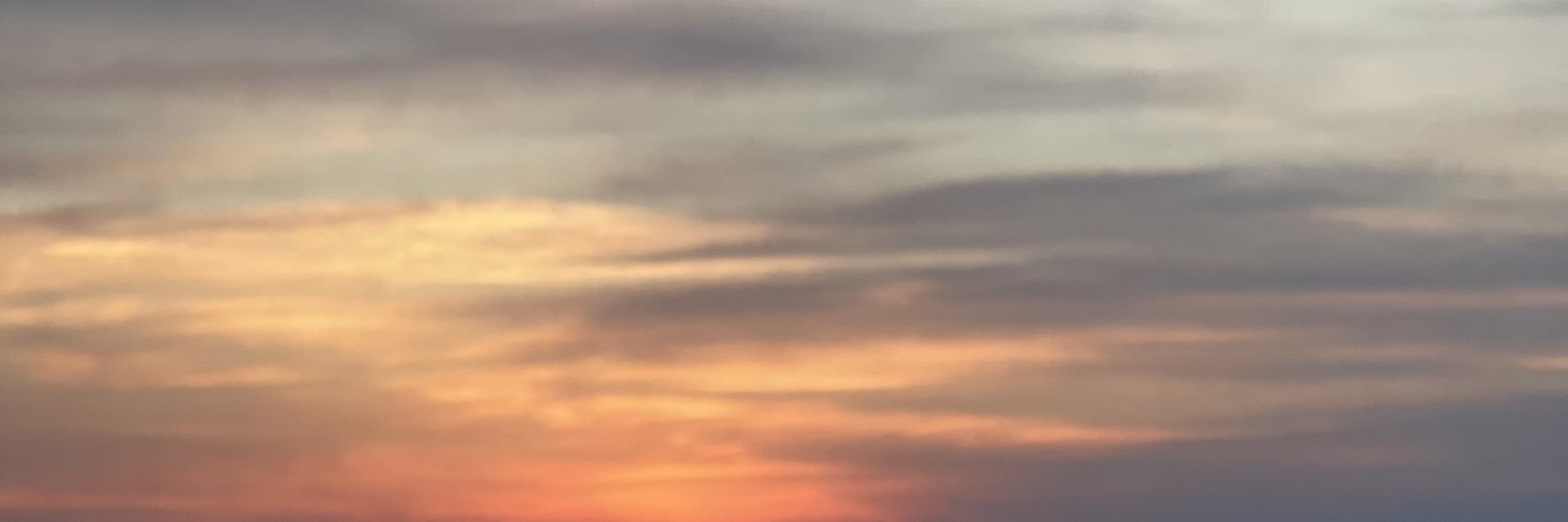 lovealysssa's profile banner image