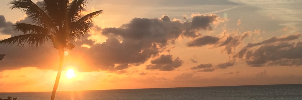 FeatherBear73's profile banner image