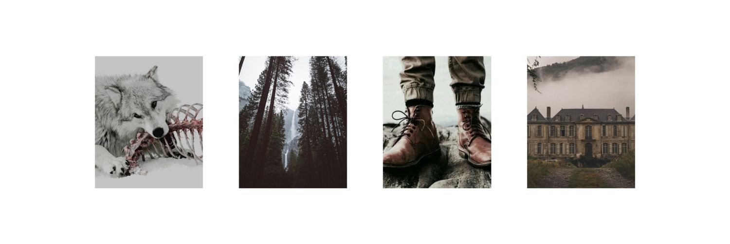 WhitetailsWolf's profile banner image