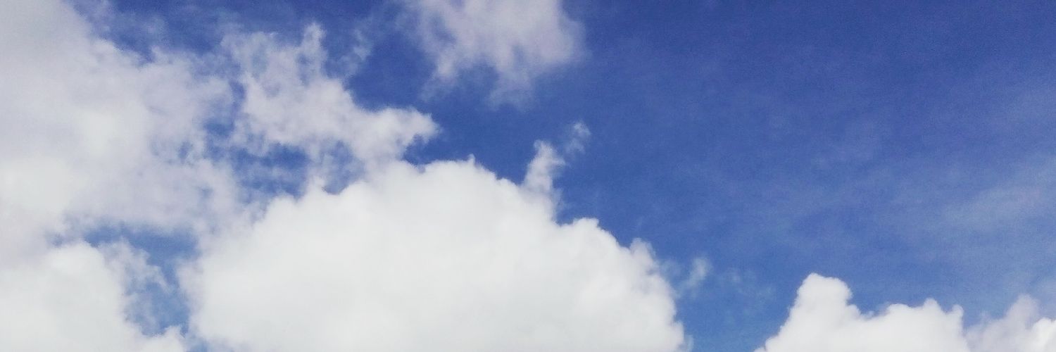 dwizara's profile banner image