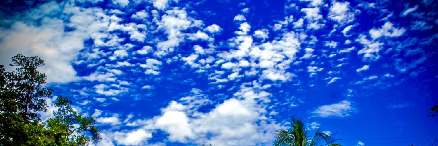 primus567 banner