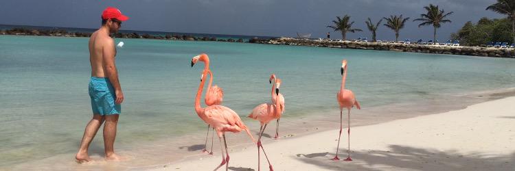 🦋Francesca Maria Chiappe Hall banner