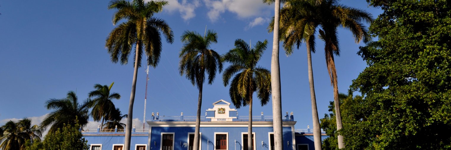 Victoria Fillingham banner