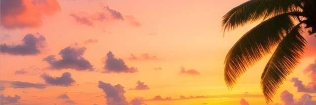 I_Peter_11's profile banner image