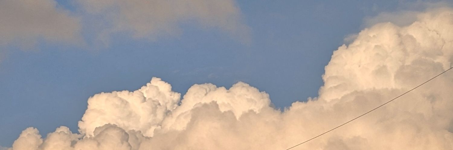Nepram's profile banner image