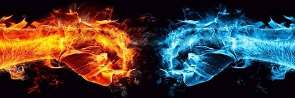 wvargasdimate's profile banner image
