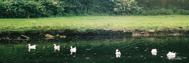 𝒩 banner