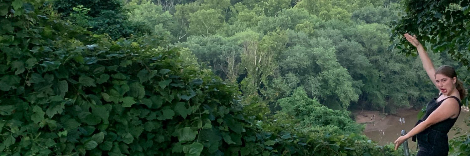 pcdirlam's profile banner image