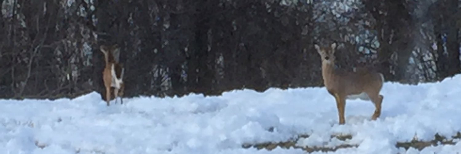FSCBerks's profile banner image