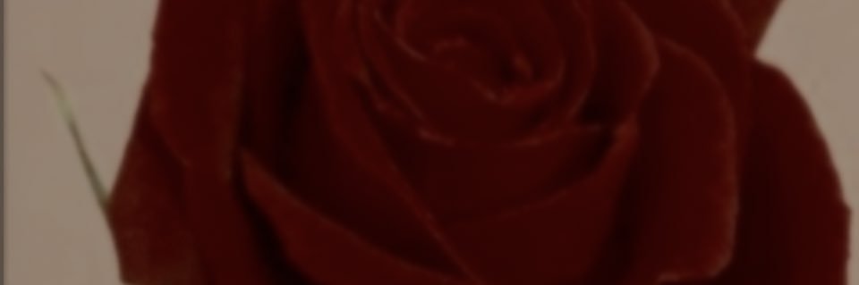 islaorgasme's profile banner image