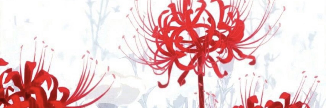 bobi banner