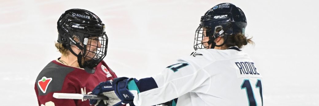 365HockeyGirl's banner