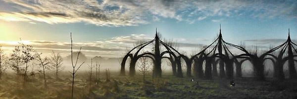 DrJasonLouis Profile Banner