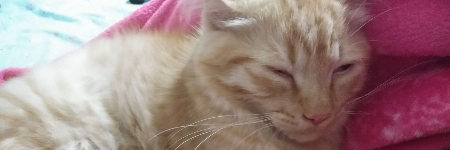 mitchie027's profile banner image